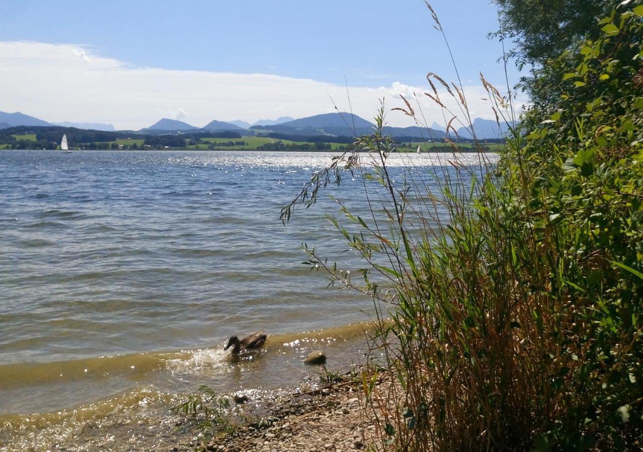 Refugio Del Lago Seekirchen am Wallersee Eksteriør billede